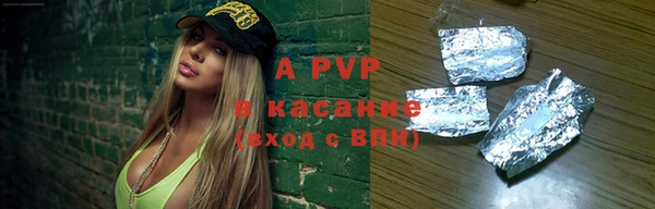 шишки Абаза