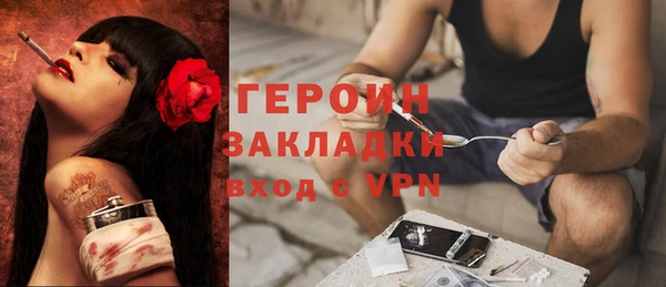 шишки Абаза