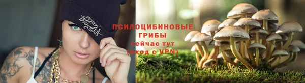 прущая мука Алзамай