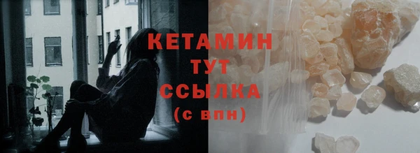 шишки Абаза