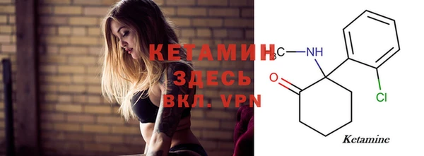 шишки Абаза
