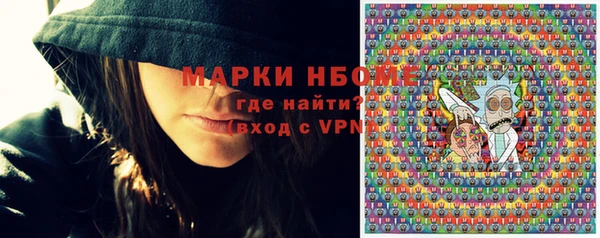 шишки Абаза