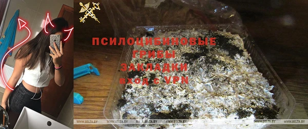 шишки Абаза