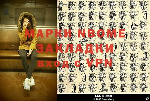 шишки Абаза