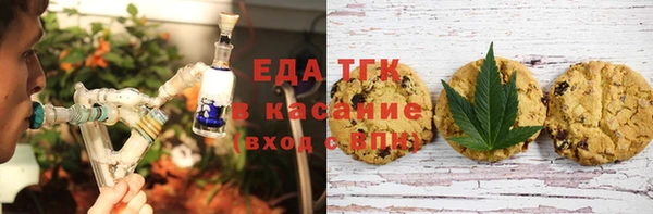 шишки Абаза
