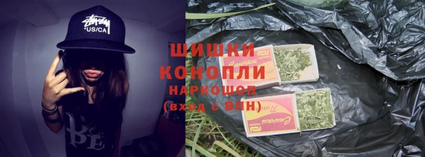 шишки Абаза