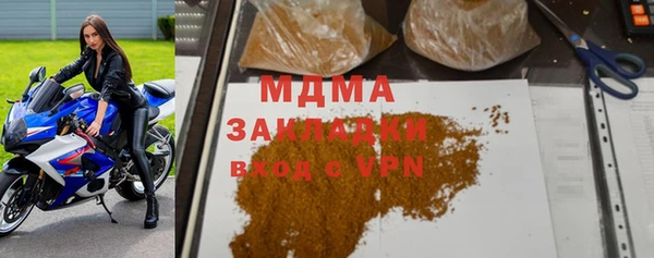 шишки Абаза